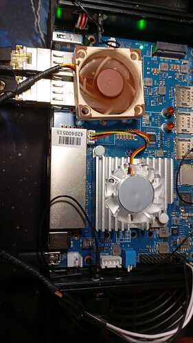 noctua